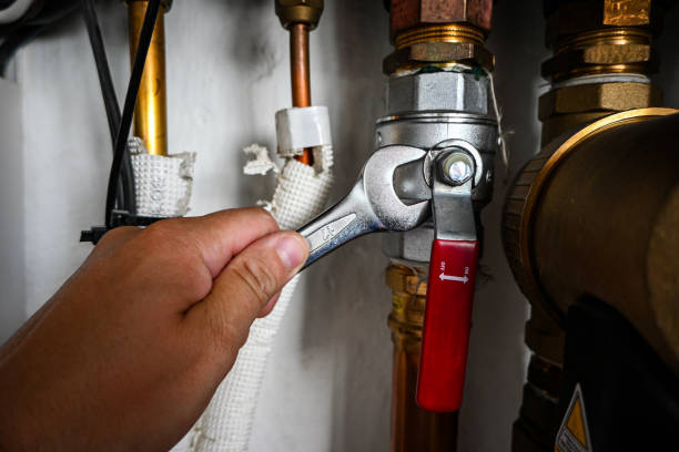 Best Commercial Plumbing Services  in California, MO